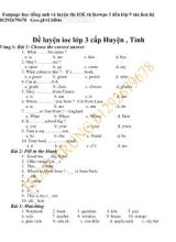 Đề luyện IOE Lớp 3 cấp huyện, tỉnh
